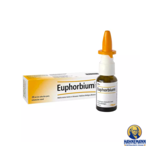 Euphorbium comp. spray nasal 20 mL Heel