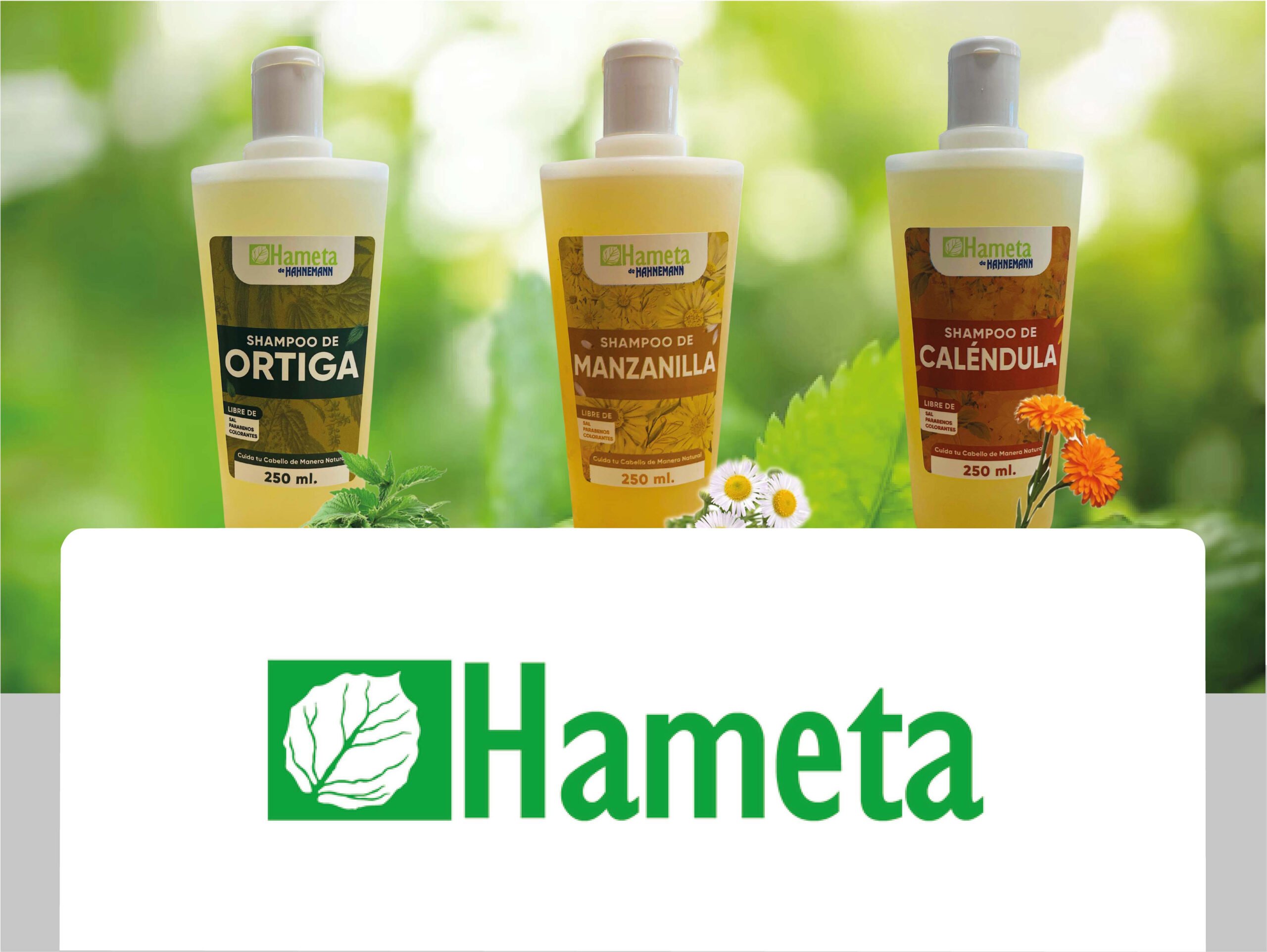 Banner web_Mesa de trabajo 1-01