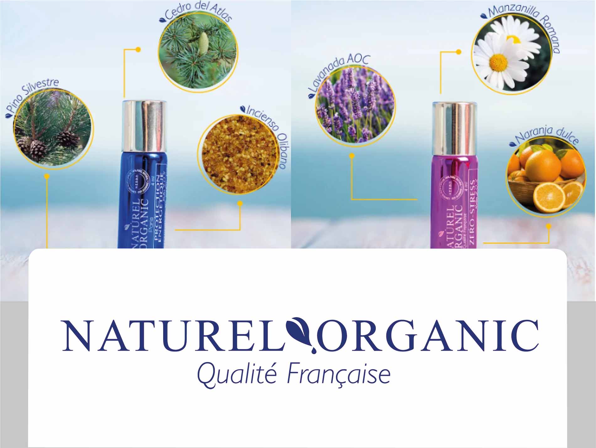 Banner web_Mesa de trabajo 1-03